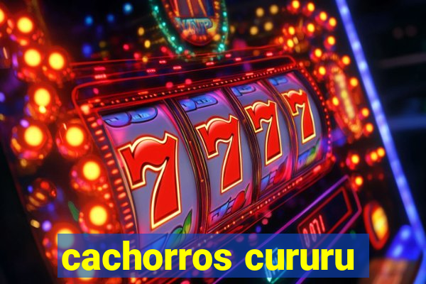 cachorros cururu